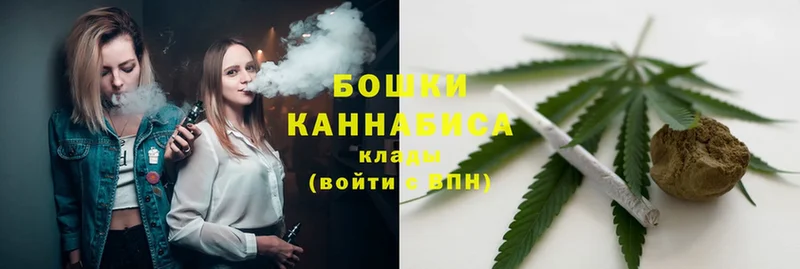 наркотики  Новошахтинск  МЕГА ссылка  Бошки марихуана SATIVA & INDICA 